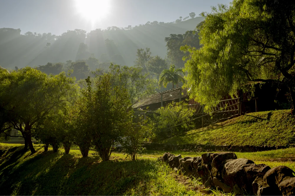 Cachoeira da Furna