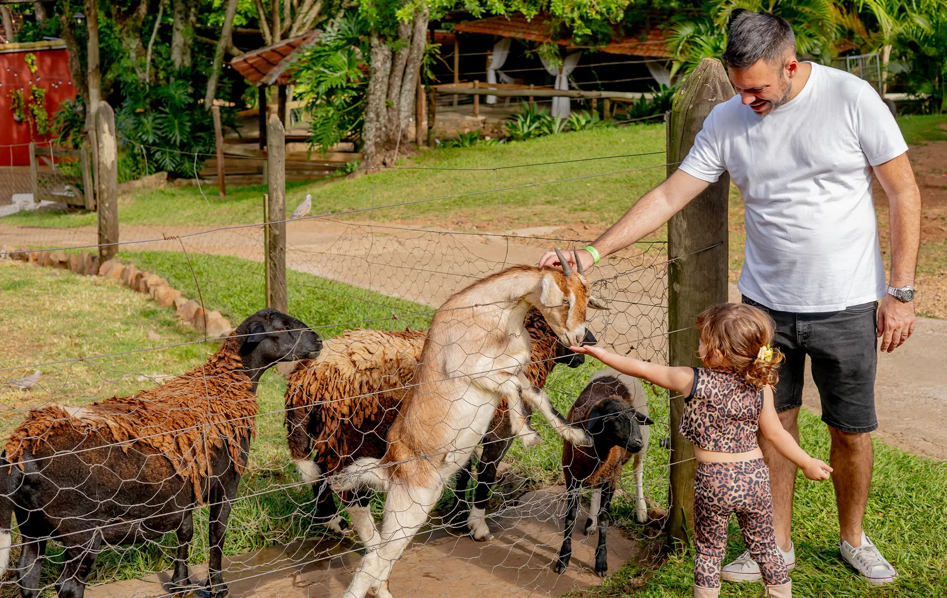 Hotel Fazenda Cachoeira da Furna em Sao Pedro