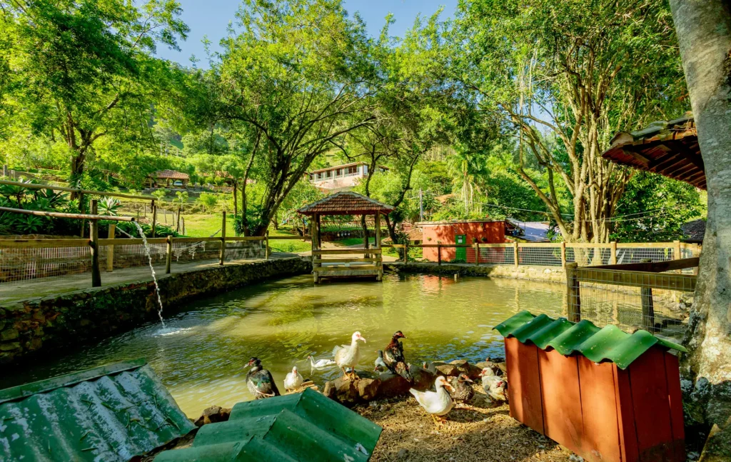 Hotel Fazenda Cachoeira da Furna em Sao Pedro