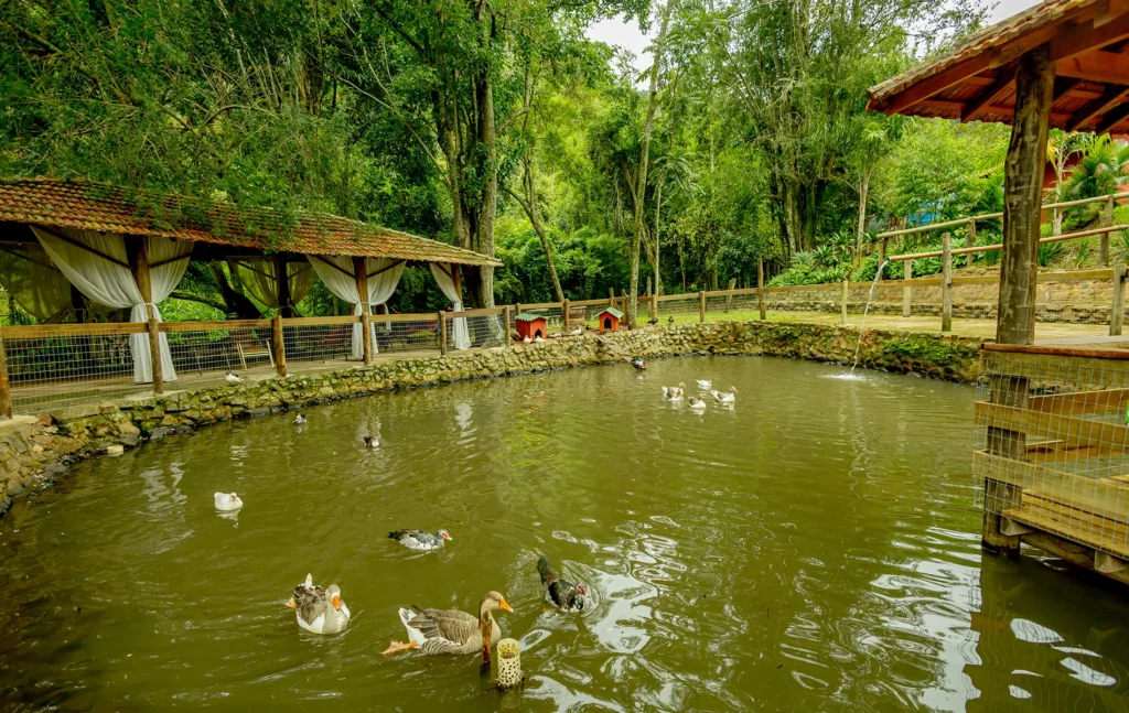 Hotel Fazenda no Interior de SP - Cachoeira da Furna