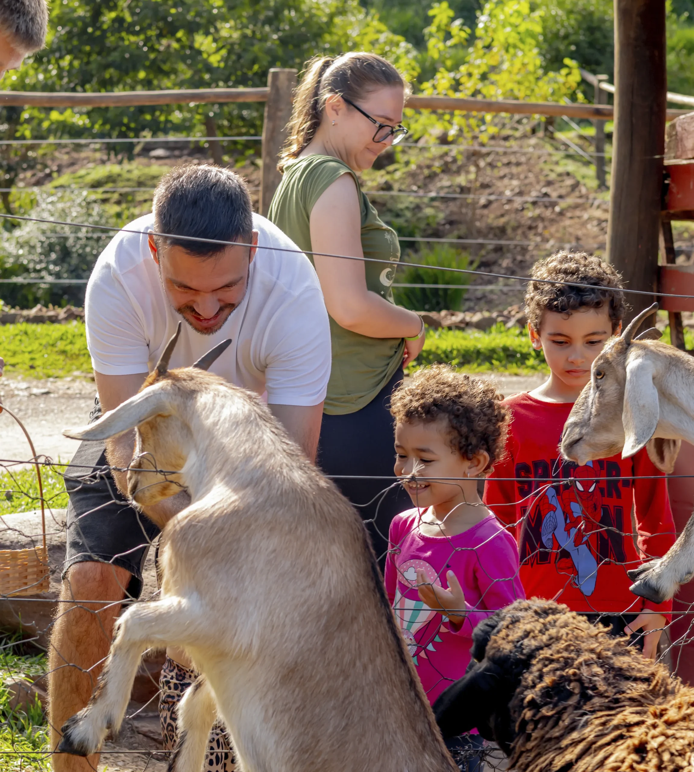 Fevereiro na Fazenda